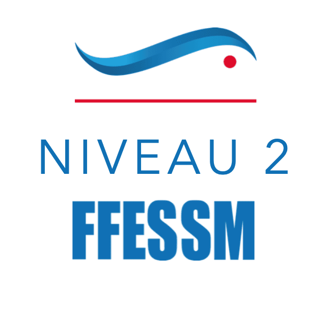 Logo-N2