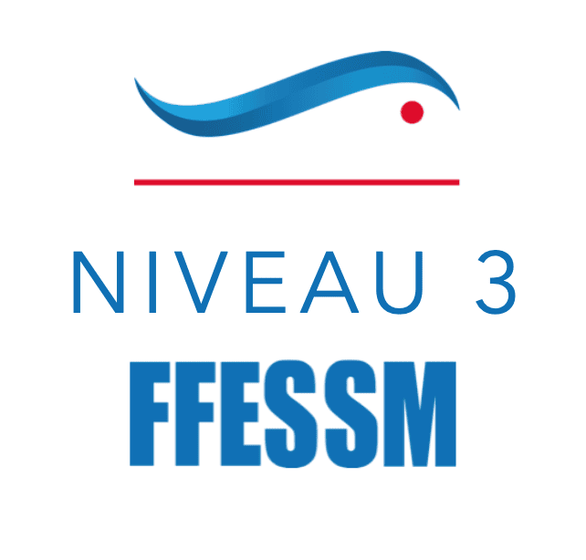 Logo-N3