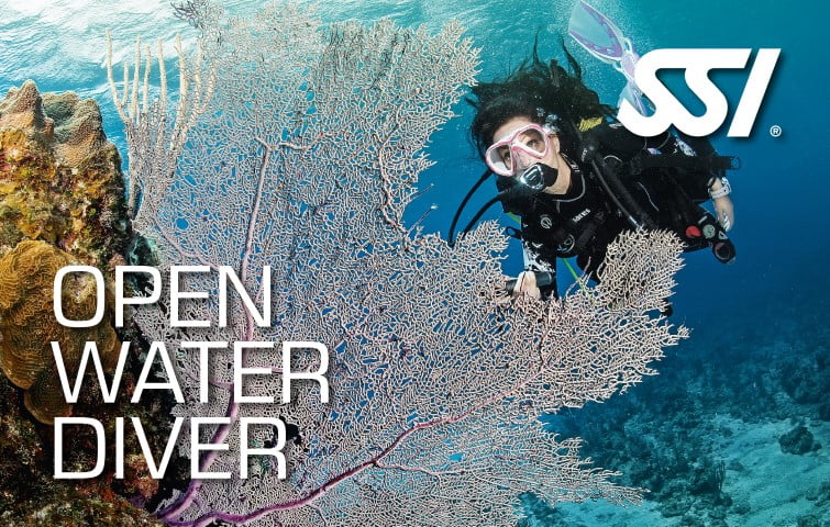 Open-Water-Diver