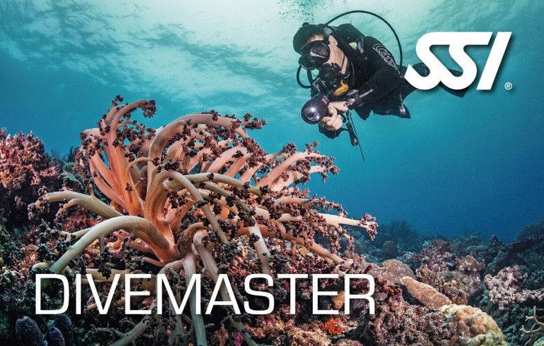 divemaster-small